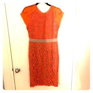 BCBG Coral Lace Dress NWT